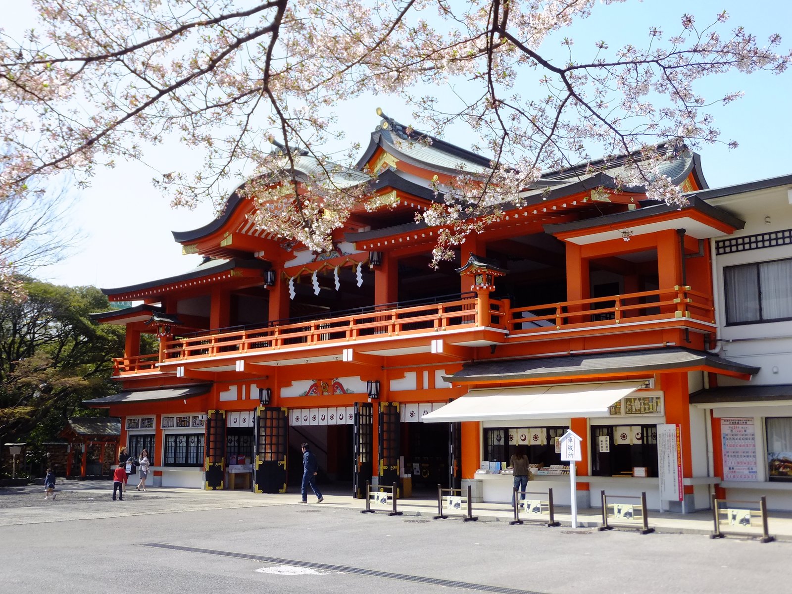 桜の枝の向こうに見える、朱塗りの二階建ての千葉神社の社殿。一階に授与所の窓口が並び、境内の広場に参拝者が数人いる