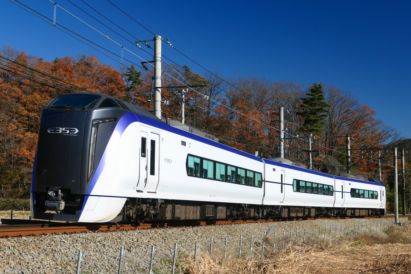 紅葉の山を背に富士急行線を走る白い E353系。3 両編成の特急富士回遊