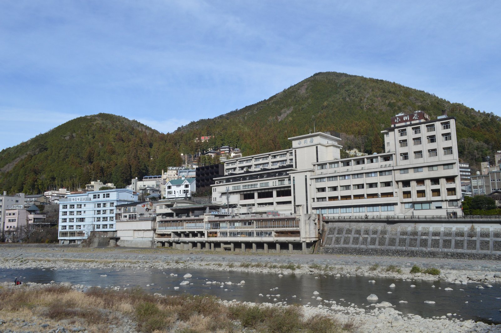 飛騨川の河原越しに見る下呂温泉街。川沿いに大きな旅館が並び、背後に木々に覆われた山がそびえている。
