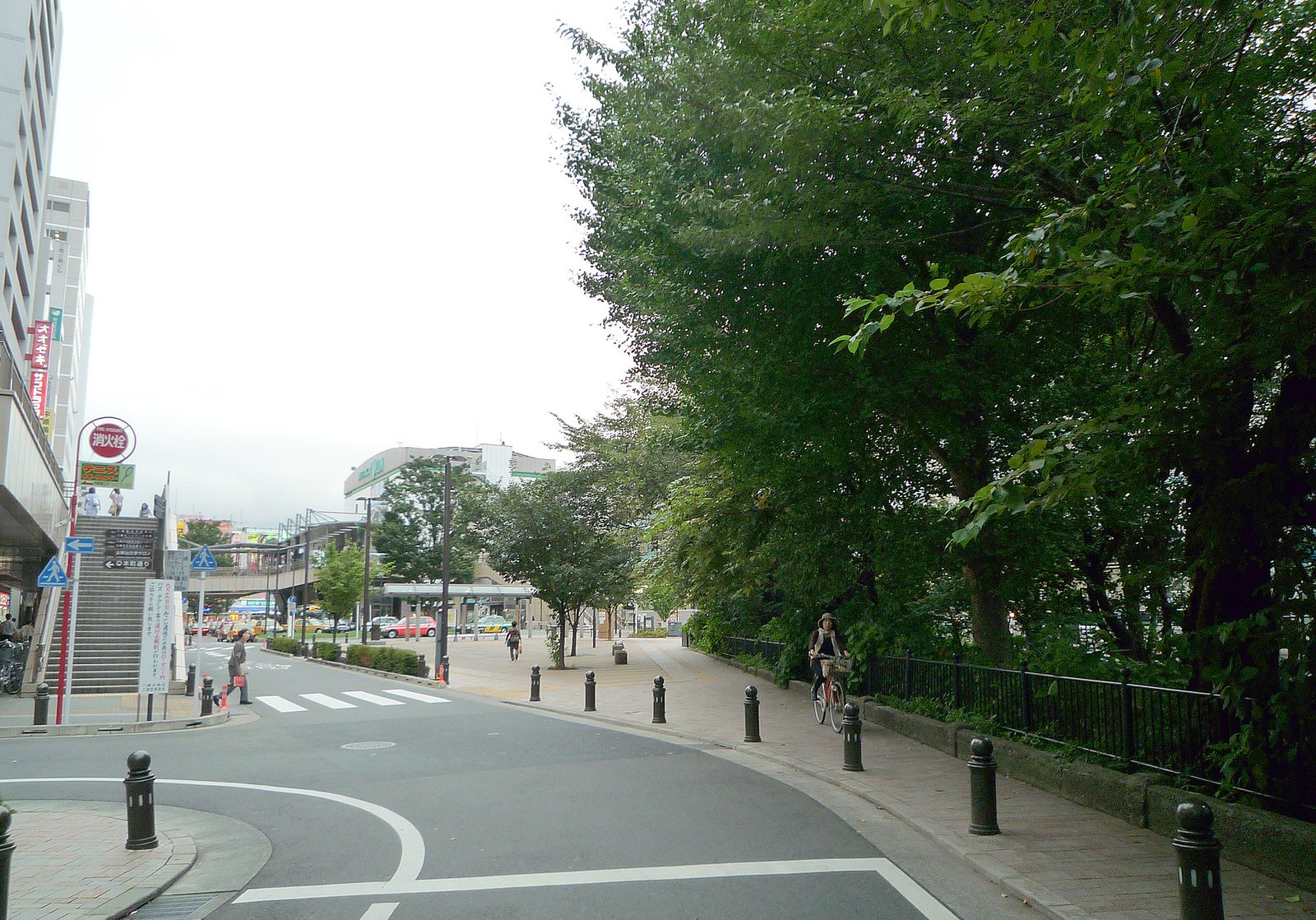 並木の続く玉川上水沿いの道。右手に歩道と木立、左手に車道があり、奥に歩道橋と駅の方向の建物が見える