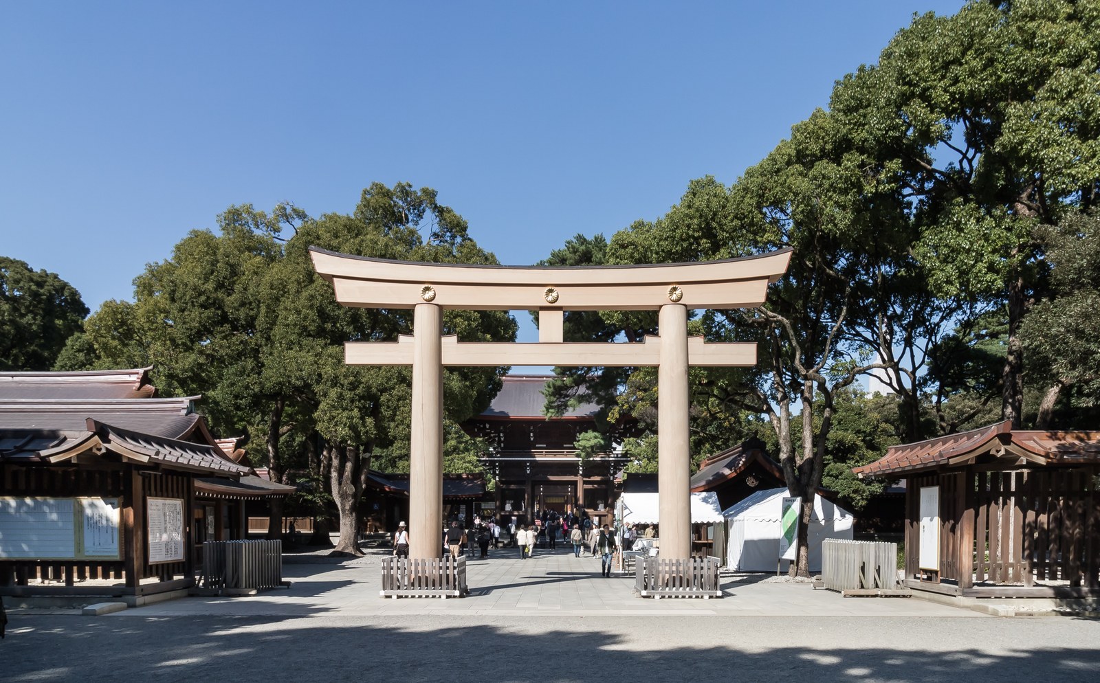 明治神宮の参道に立つ三ノ鳥居を正面から見上げた写真。木造の大鳥居と、その奥に続く玉砂利の参道、両脇の木立が写っている。