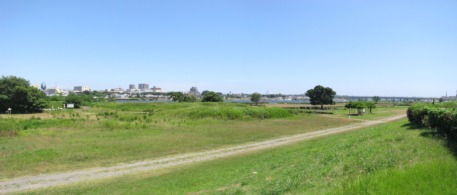 平塚市馬入付近の相模川の河川敷。手前に草地と砂利の道、奥に広い川面と対岸の町並み、右手に川を渡る橋が見える