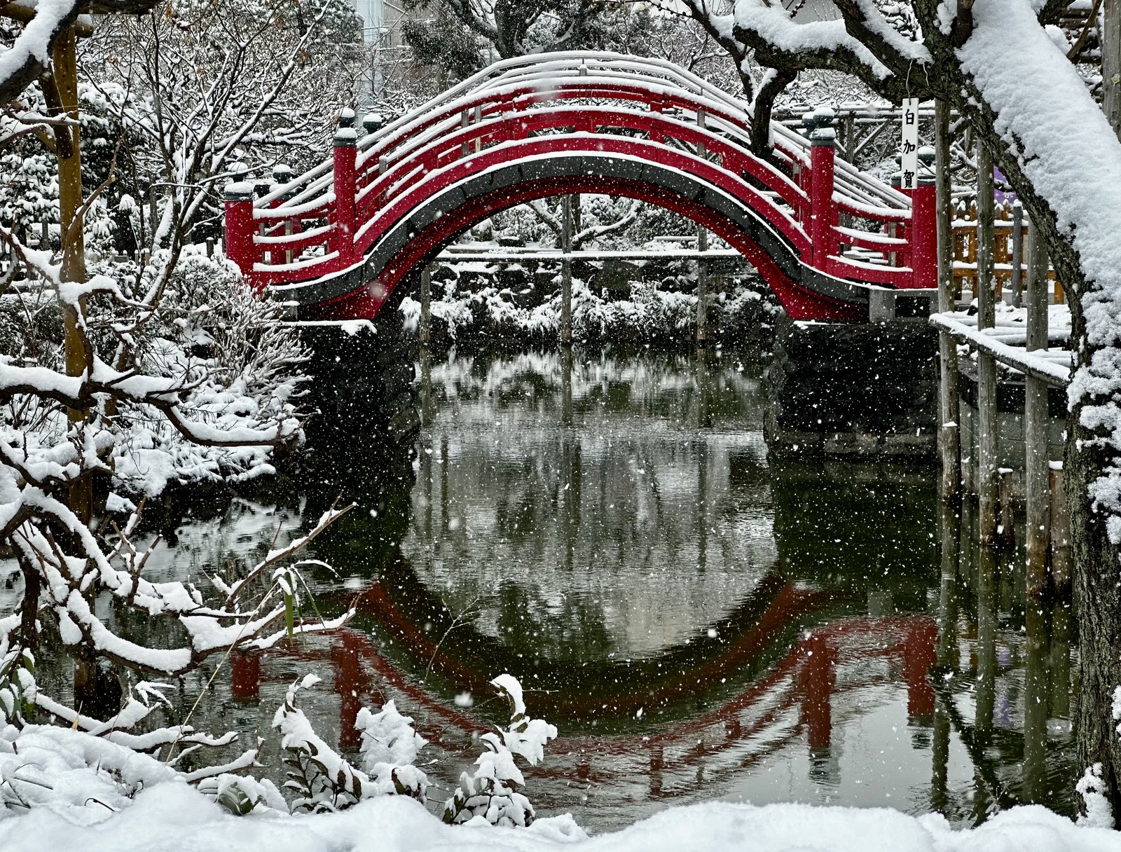雪が降る中の亀戸天神社の太鼓橋（女橋）。雪をかぶった赤い反り橋が池の水面に映り、手前の木の枝にも雪が積もっている