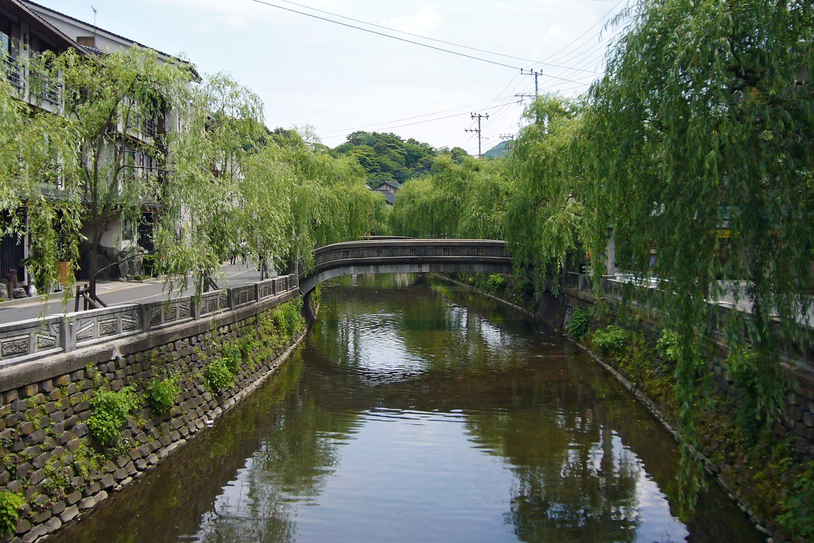 石積みの護岸の大谿川に、枝垂れ柳が両岸から垂れ下がる。川の奥に石造りの橋が架かり、左岸に温泉街の建物が見える。