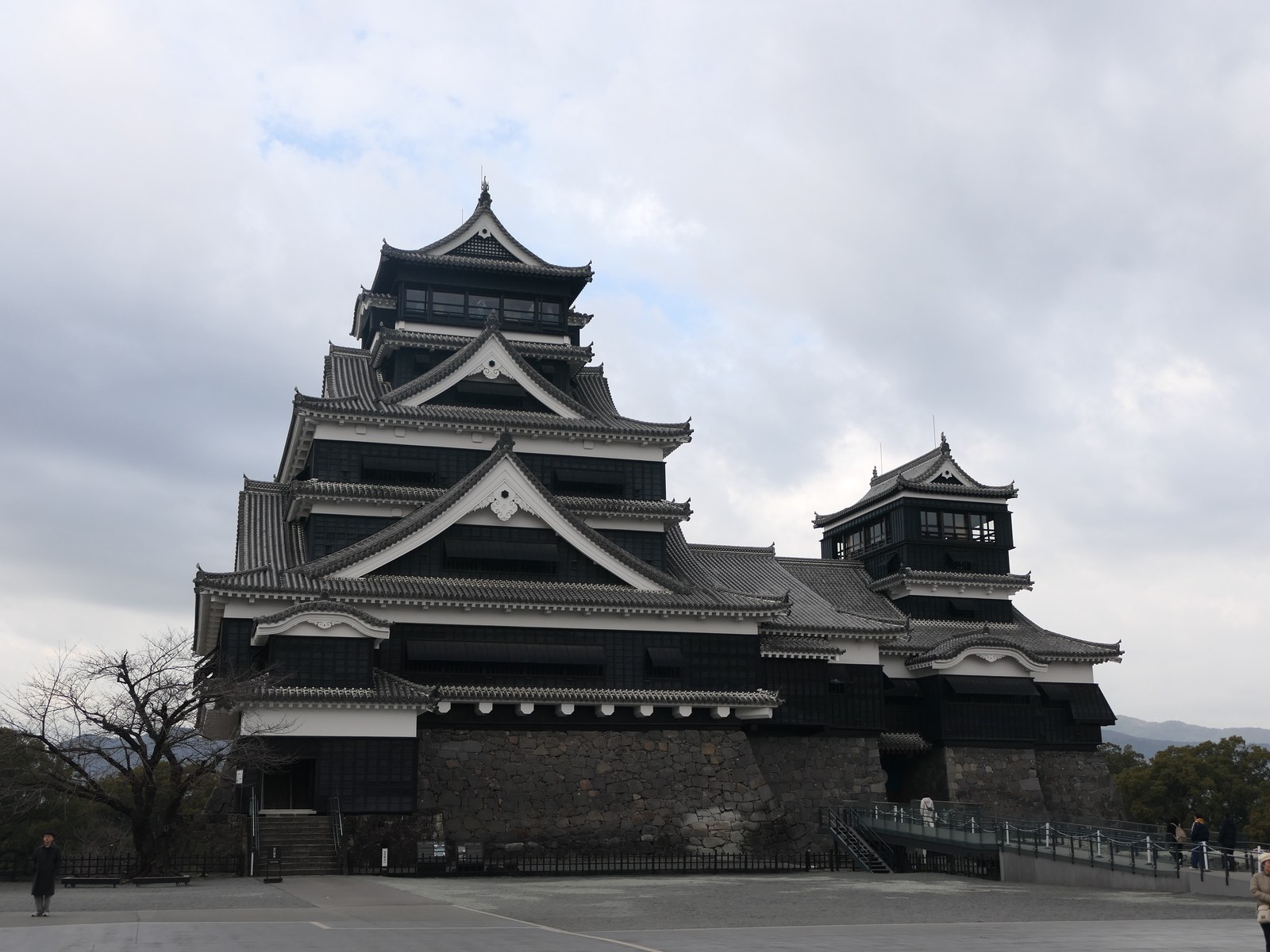 青空の下、木々の間からそびえる熊本城天守閣（2026年1月撮影）