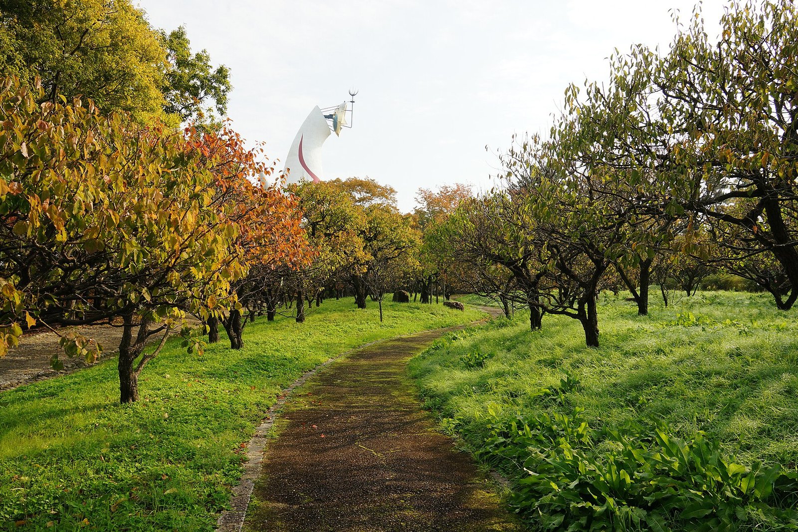 紅葉した木立に挟まれた万博記念公園内の小道。奥に太陽の塔の背面が小さく見える