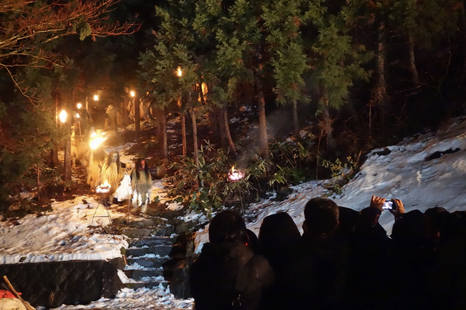 夜の雪の斜面。松明の明かりの中を、わらの衣装に面を付けたなまはげが2体、林の中の石段を下りてくる。手前に観客の後ろ姿