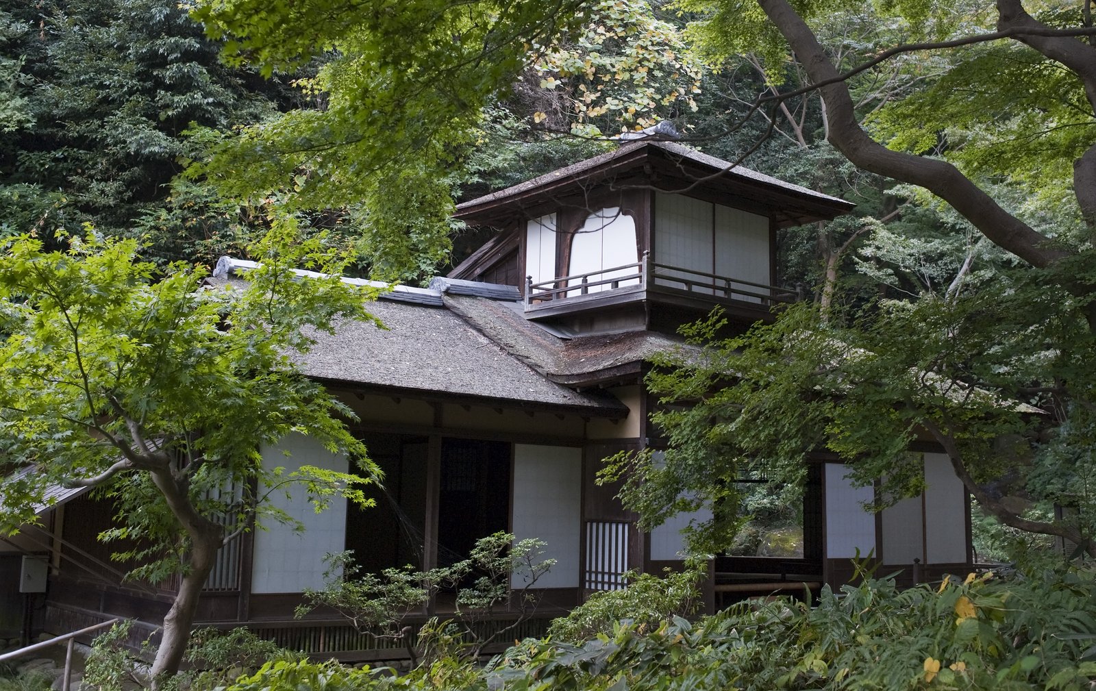 木々に囲まれた茅葺屋根の小さな建物、聴秋閣