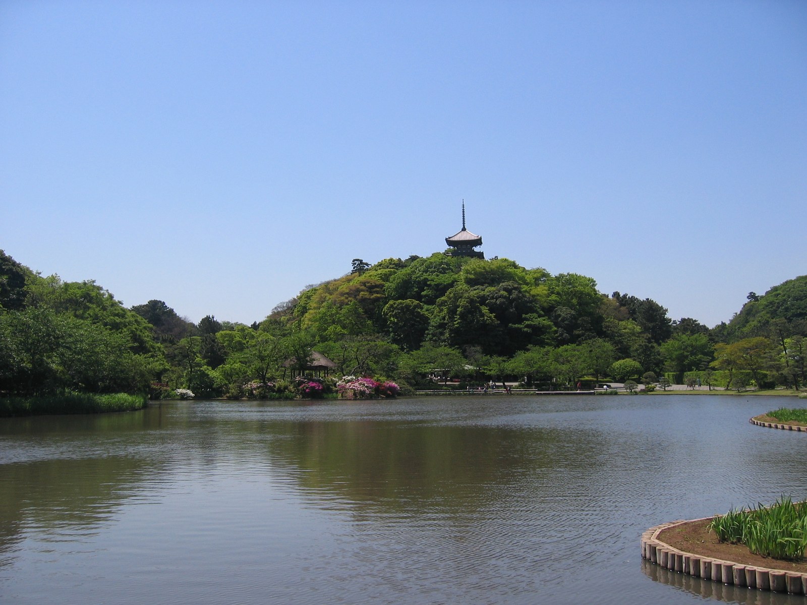 三溪園の大池。水面の向こうの丘に木が茂り、その上に旧燈明寺三重塔の上半分が見える