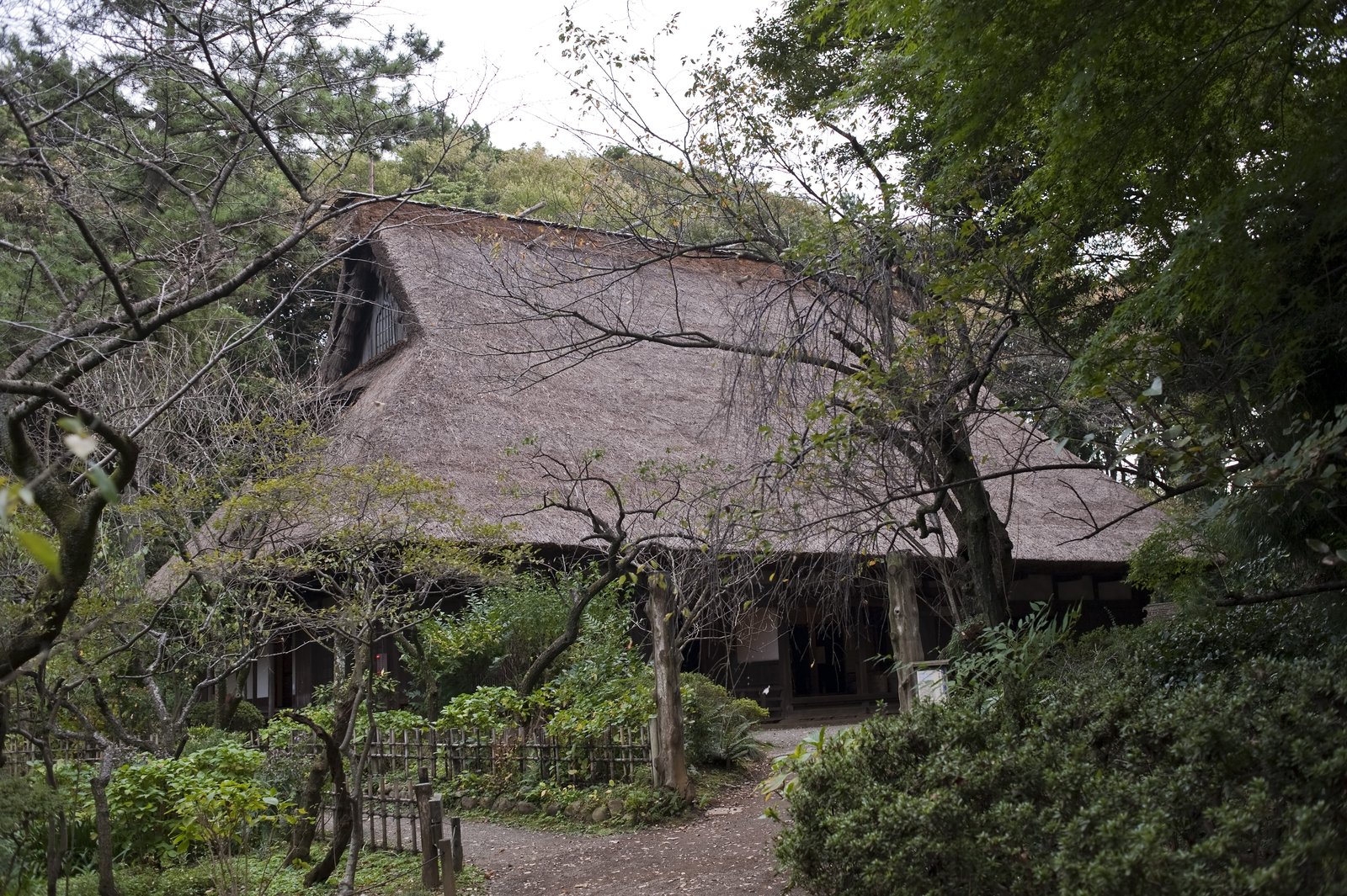 茅葺屋根の合掌造り家屋、旧矢箆原家住宅