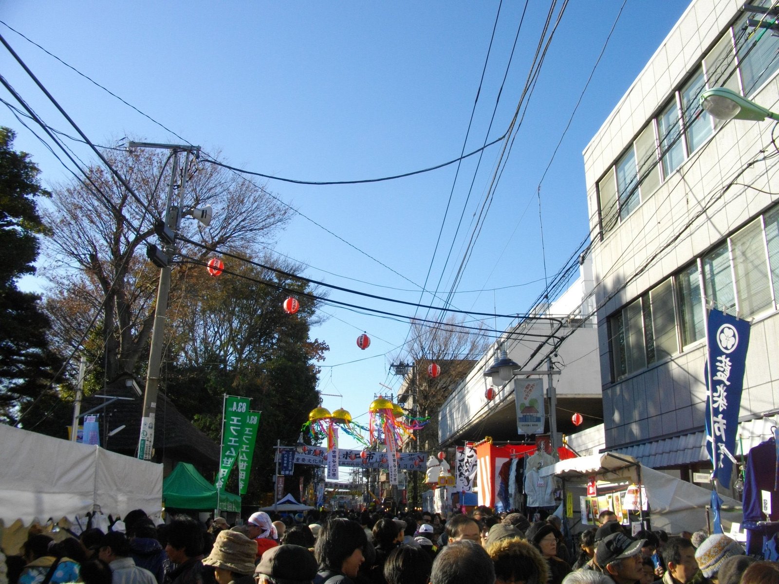 晴れた日のボロ市通り。電線の間に赤い提灯と金色のくす玉が吊るされ、通りを埋める人の頭の向こうに「ボロ市」の横断幕が見える