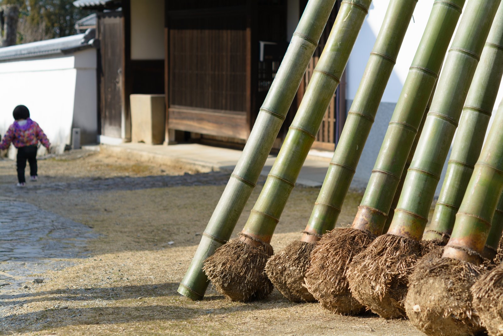 二月堂の入口の前に立てかけられた太い青竹。根の付いたままの竹が何本も並び、奥に白壁と木の門がある