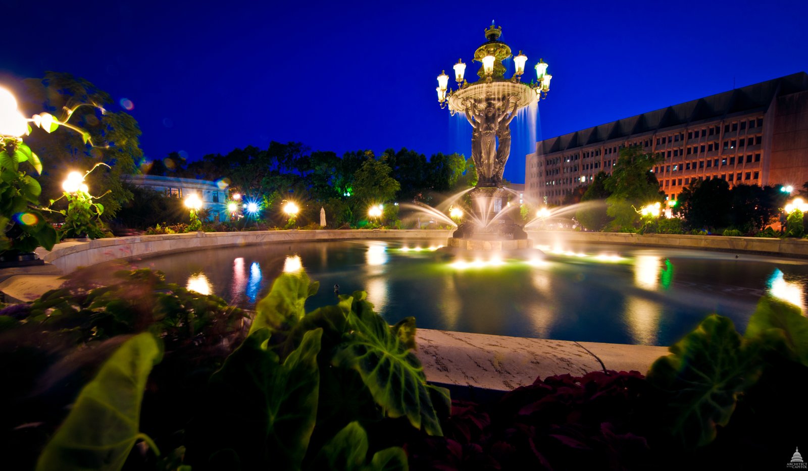 夜のバルトルディ公園。ライトアップされた噴水と周りの植栽