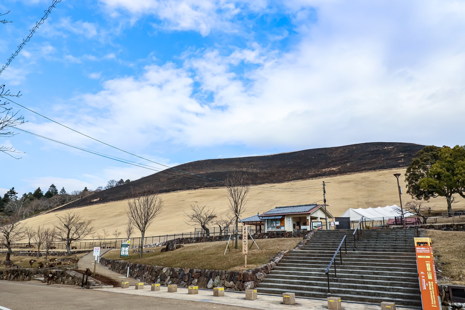山焼きの後の若草山の麓。枯草色の斜面の上のほうが黒く焼け、手前に石段と受付の小屋、「若草山」と書かれた案内板がある