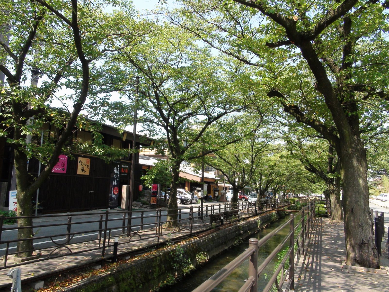 葉の茂った並木の下を細い水路が流れ、その脇の道沿いに「嵐の湯」などの看板を出した木造風の建物と車が並ぶ石和温泉の通り