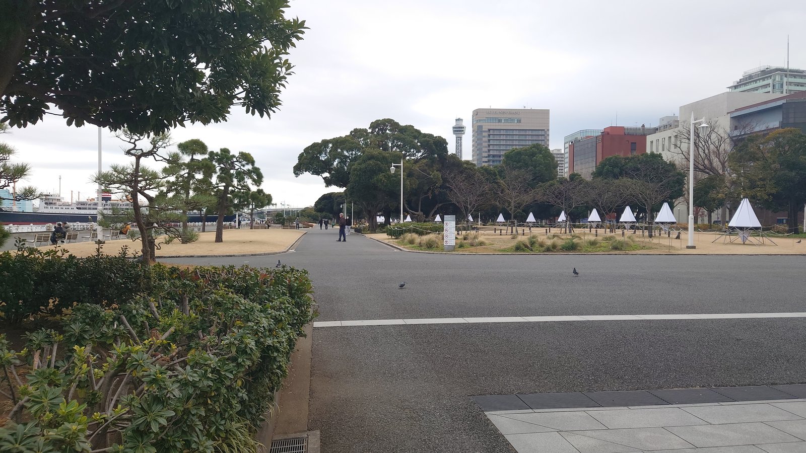 いまの山下公園。松の木と芝生の広場の奥にホテルニューグランドと横浜マリンタワーが見える
