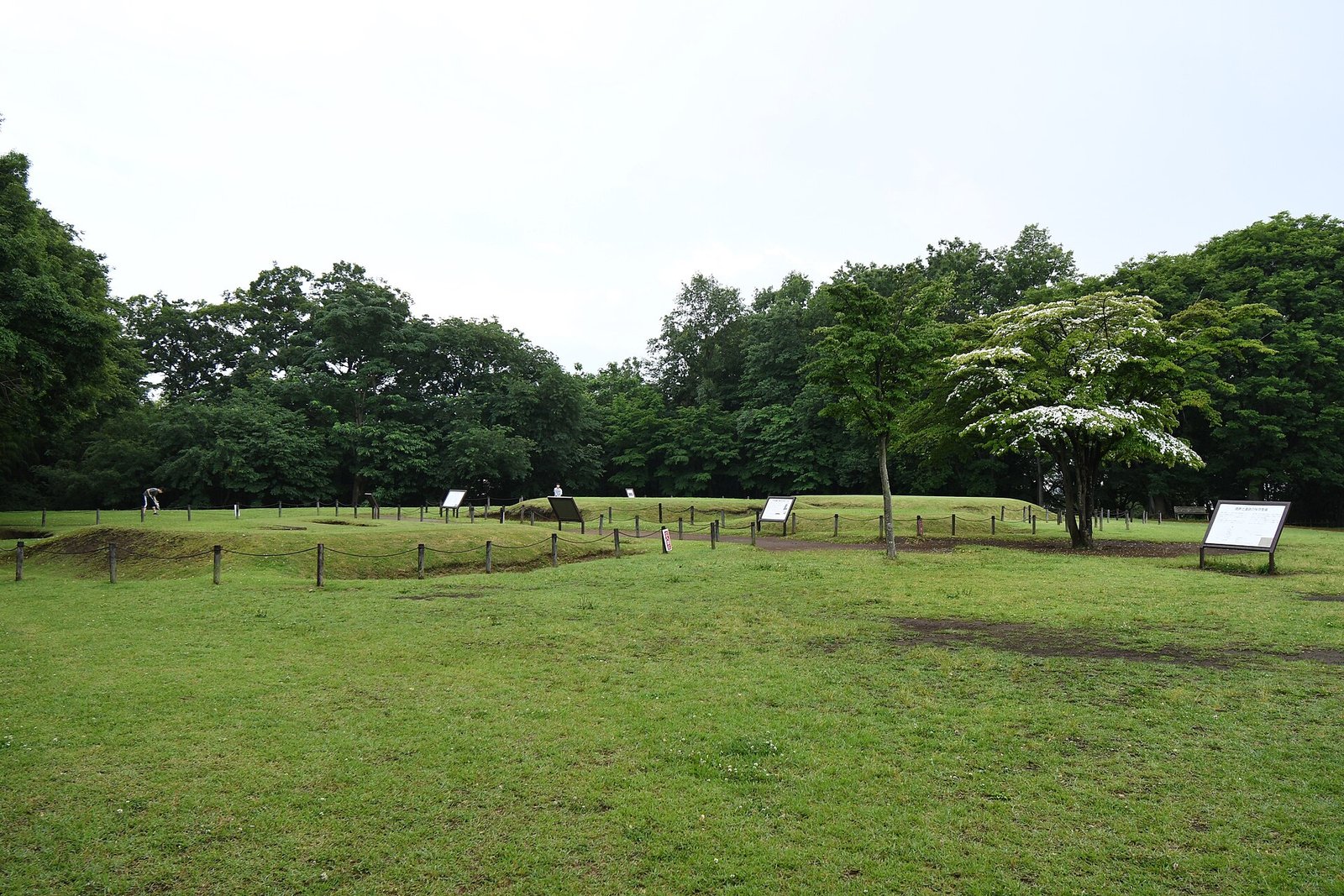 歳勝土遺跡地区の芝生の広場に復元された方形周溝墓。低い盛り土が点在する