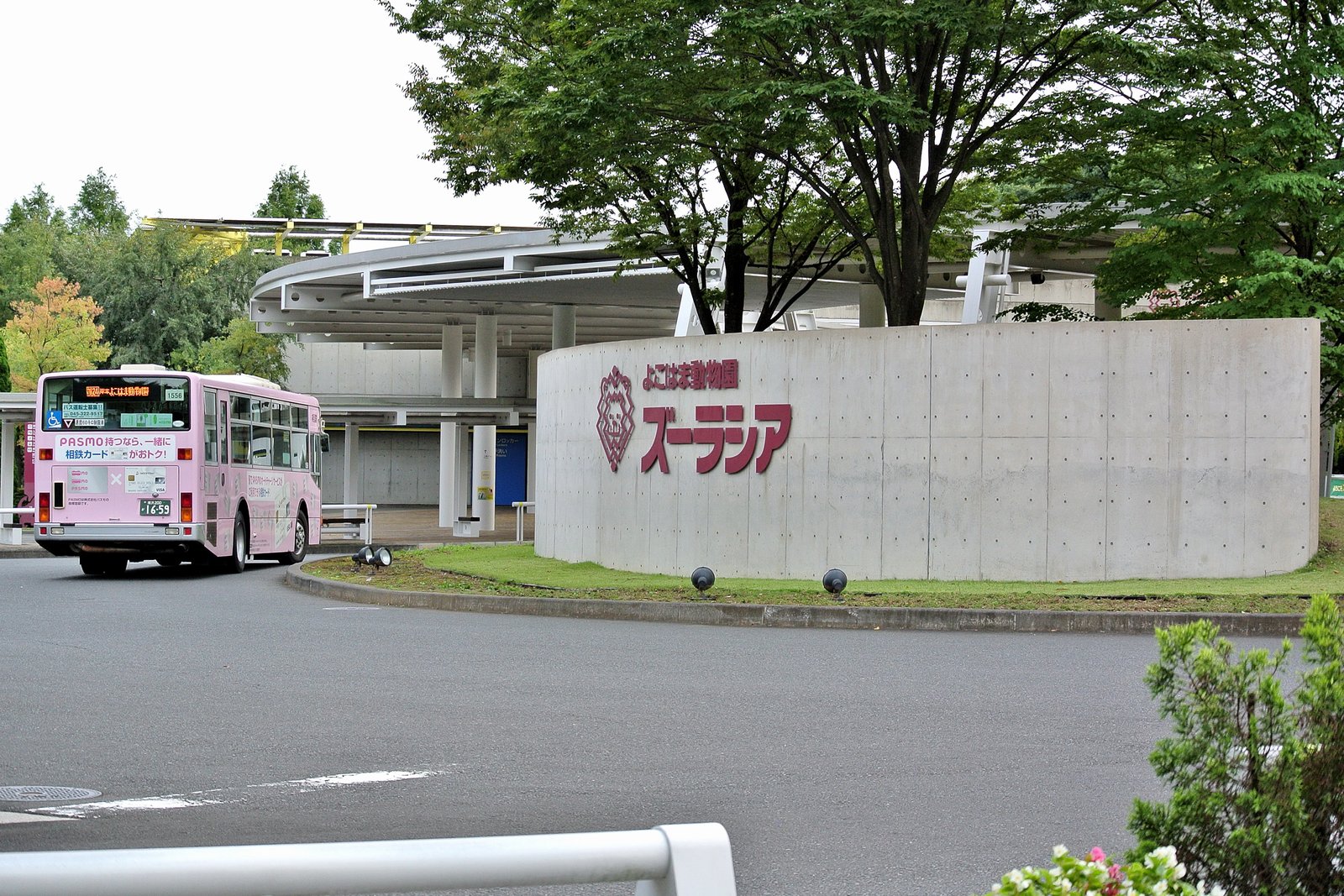 よこはま動物園ズーラシアの正門前に停車するピンク色の路線バス